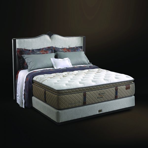 Mattress Type Chiro endorsed HDHomeliving