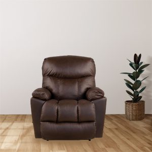 Southwest Electric Reclining Chair
